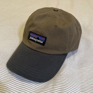 Patagonia Dad Hat P-6 Label Trad Cap Rare Color Olive Grey Gray